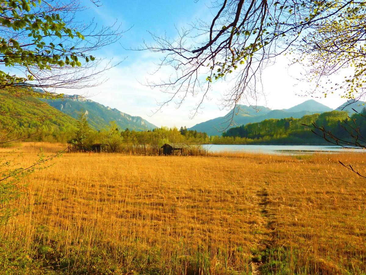 Ferienwohnungen Maurer Hoehenberg Aschau im Chiemgau Exterior photo