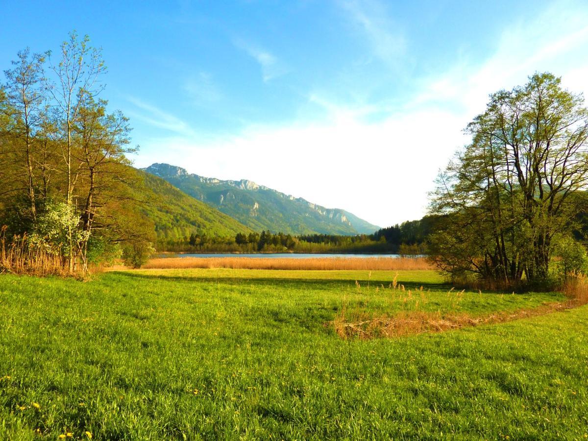 Ferienwohnungen Maurer Hoehenberg Aschau im Chiemgau Exterior photo